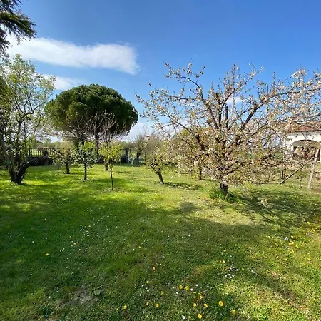Airport Venice Diego 2 Bed & Breakfast Tessera
