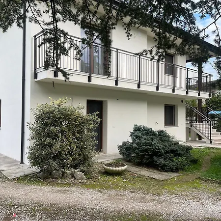 Bed & Breakfast Airport Venice Diego 2 Tessera